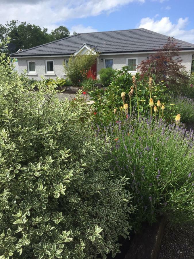 A Selection Of Self Catering Holiday Homes At Kilcloon Cottages Мейнут Екстер'єр фото